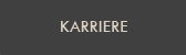 Karriere