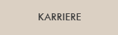 Karriere